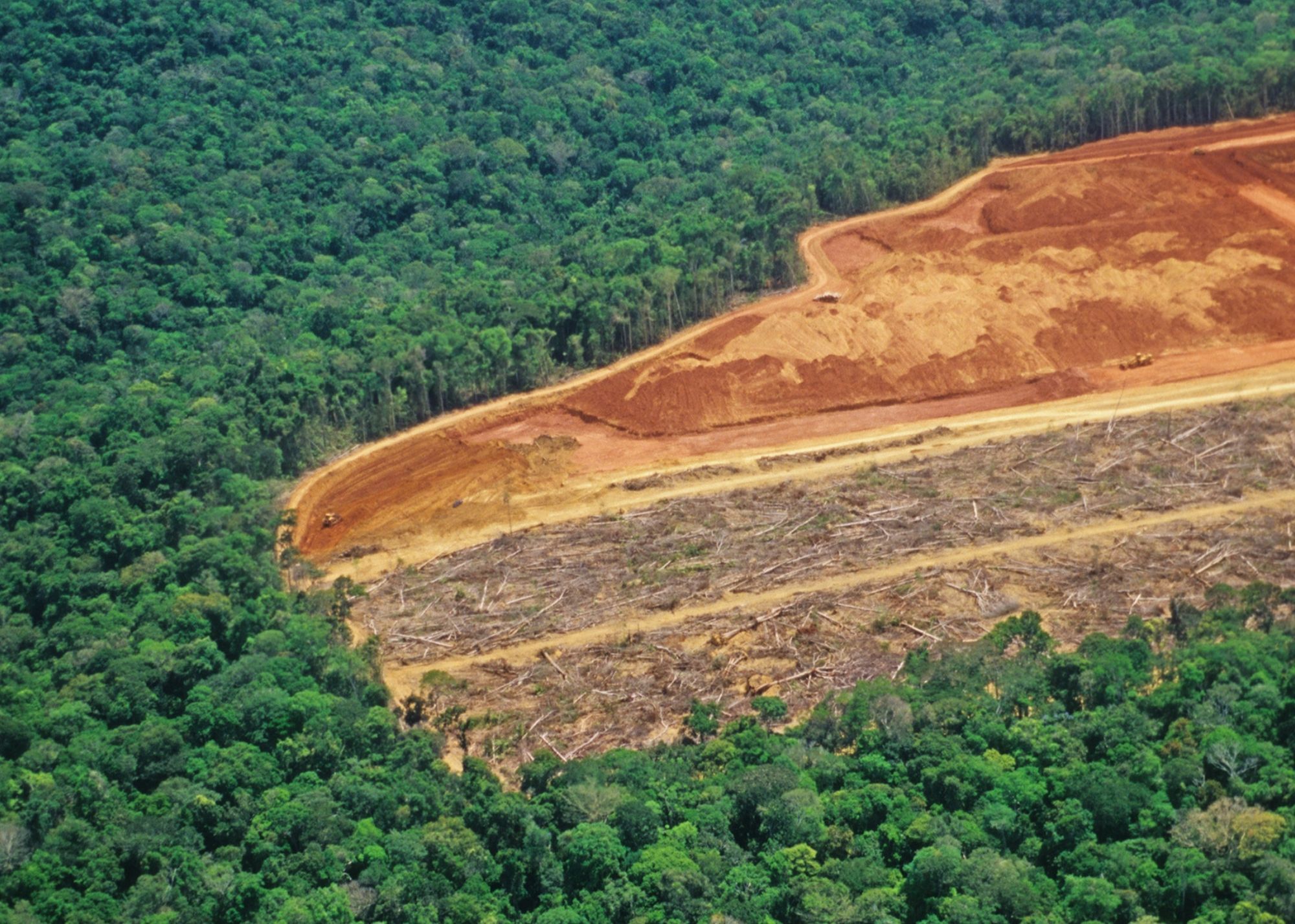 Em 35 Anos Floresta Amazônica Perdeu 746 Milhões De Hectares De Vegetação Nativa Aponta 6378