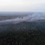 Amazonas é incluso em calendário federal de emergência para incêndios florestais