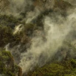 Incêndios podem ter degradado 9% do Pantanal nos últimos cinco anos