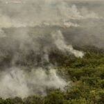 Militares do Exército começam a combater incêndios no Tocantins