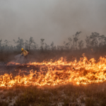 Governo Federal aumenta punições por incêndios florestais