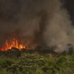 Brasil tem 22,38 milhões de hectares atingidos pelo fogo em nove meses