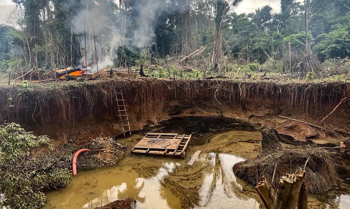  Ministério Público Federal (MPF), por meio do 2° Ofício da Amazônia Ocidental, recomendou à superintendência do Ibama no Amazonas que mantenha o quadro de agentes ambientais