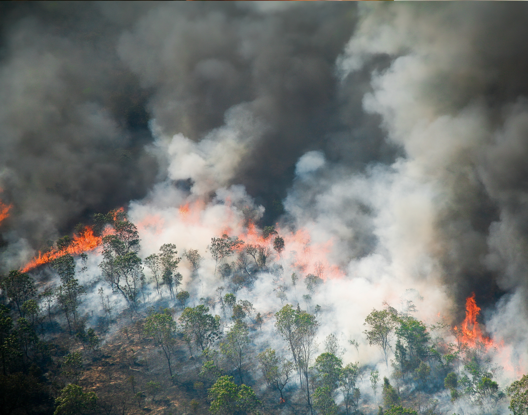 Focos de incêndio - Foto: Canva / banco de imagens