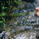 MPF quer responsabilização de empresário por degradação ambiental no Igarapé do Tarumã, em Manaus