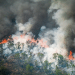 Polícia Federal lança Operação Incêndios 2025 com atuação na Amazônia e Pantanal