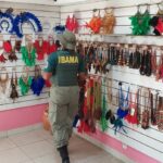 Ibama realiza operação “Não Tire as Penas da Vida” em Parintins