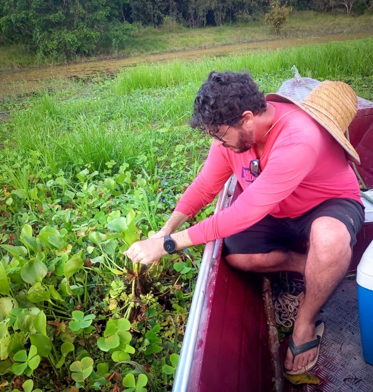 Pesquisa identifica duzentas espécies de microalgas em Parintins, no Amazonas