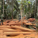 Ipaam aplica mais de R$ 5 milhões em multas na 5ª etapa da Operação Tamoiotatá 5