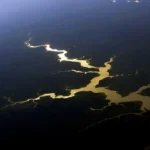Captura de carbono na Amazônia está em risco, diz estudo