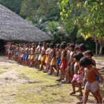 TRF1 obriga União e Funai a revisar limites da Terra Indígena Waimiri Atroari, entre o Amazonas e Roraima
