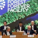 Lançado nesta quinta, Fundo para florestas tropicais já atinge aporte de US$ 5,5 bilhões