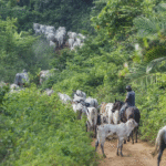 Operação em terra indígena no Pará resulta em mais um assassinato