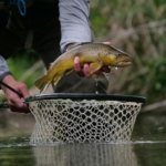 Justiça Federal mantém restrições à pesca esportiva irregular em Terras Indígenas no Amazonas