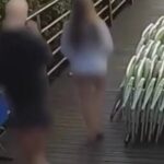 Caso Orelha: polícia pede internação de adolescente envolvido no crime