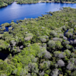 Governo lança edital para combate ao desmatamento na Amazônia