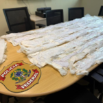 PF apreende cocaína líquida em agência dos Correios de Manaus; droga seria enviada para a Austrália