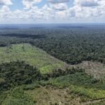 Ipaam aplica R$ 2,7 milhões em multas em nova ação de fiscalização em Humaitá