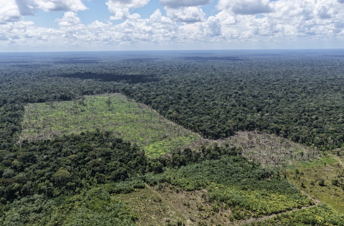 Ipaam aplica R$ 2,7 milhões em multas em nova ação de fiscalização em Humaitá