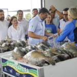 Governador Wilson Lima inicia entrega de 470 toneladas de peixe e reforça segurança alimentar na Semana Santa
