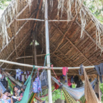 Povo Parakanã, do Pará, reocupa território após retirada de invasores