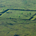 MPF firma acordos para compensar danos a geoglifos amazônicos no Acre