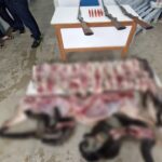 Grupo é preso suspeito de caça e porte ilegal de armas em Juruá, no Amazonas