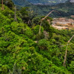 MPF recomenda manutenção de base policial na Terra Indígena Andirá-Marau em Barreirinha, no Amazonas