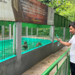 Bosque da Ciência do Inpa celebra 31 anos com exposições e homenagens