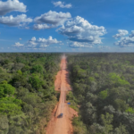 Observatório do Clima acionará a Justiça contra editais do Dnit para obras na BR-319