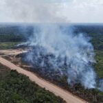 Plano do governo Lula para BR-319 não resolve risco imediato da pavimentação, afirma Observatório do Clima