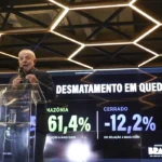 Desmatamento na Amazônia cai 61,4% em maio de 2026