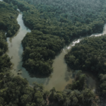 Amazônia: MPF aciona a Justiça Federal para derrubar decreto que viola Acordo de Paris