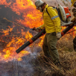 Combate incêndios e desmatamento: Governo Federal libera R$ 337 milhões para Ibama e ICMBio