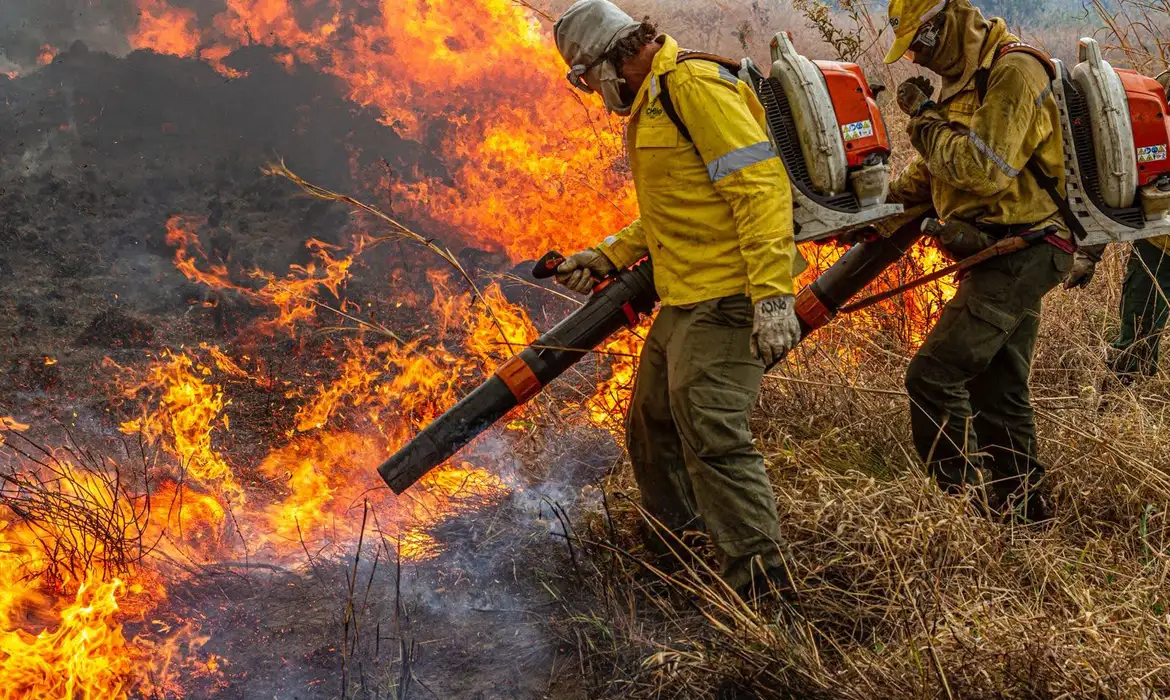 Combate incêndios e desmatamento: Governo Federal libera R$ 337 milhões para Ibama e ICMBio