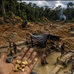 MPF vai à Justiça contra ANM por omissão que facilita lavagem de ouro ilegal na Amazônia