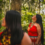 MPF recomenda medidas para evitar violação de direitos humanos contra o povo Madiha Kulina, no Amazonas
