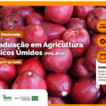 Programa de Pós-Graduação em Agricultura no Trópico Úmido abre seleção para vagas de doutorado