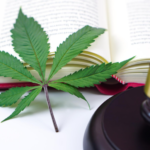 Trabalhador dispensado por portar pequena quantidade de maconha tem justa causa revertida em Manaus
