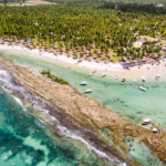 Barulho de barco e de turistas afeta comunicação de peixes, diz estudo