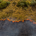 Estudo aponta que maioria dos brasileiros quer propostas para enfrentar mudanças climáticas nas eleições