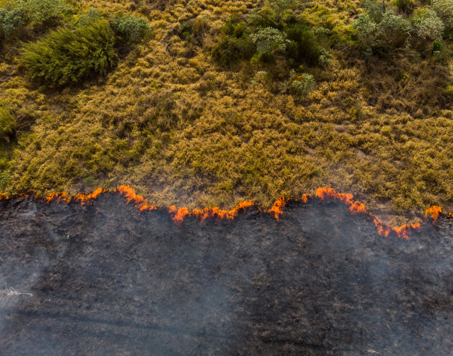 Estudo aponta que maioria dos brasileiros quer propostas para enfrentar mudanças climáticas nas eleições