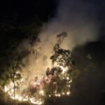 Amazonas: ministro diz que incêndios têm o objetivo de “degradar a floresta e buscar a derrubada na sequência”