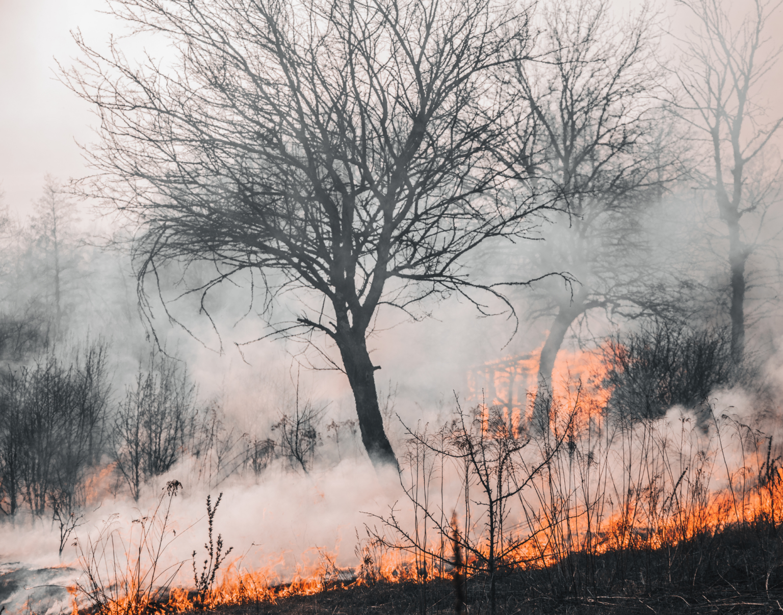 Ibama combate 20 incêndios no Amazonas e envia mais 40 brigadistas e três aeronaves ao estado