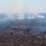 Incêndio de grandes proporções atinge área equivalente a 100 campos de futebol no Amazonas