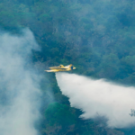 Força-tarefa amplia combate aéreo a incêndios no Amazonas; 11 aeronaves acumulam 67 horas de voo e 10 mil litros de água lançados